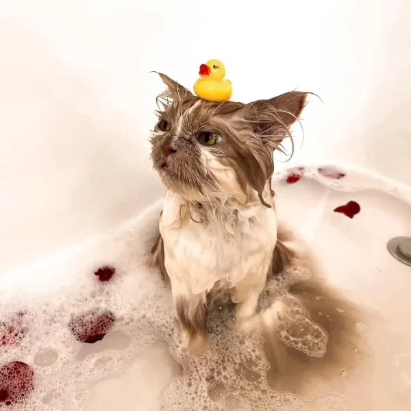365969994_1702808653475347_4499420959952043288_n (1)